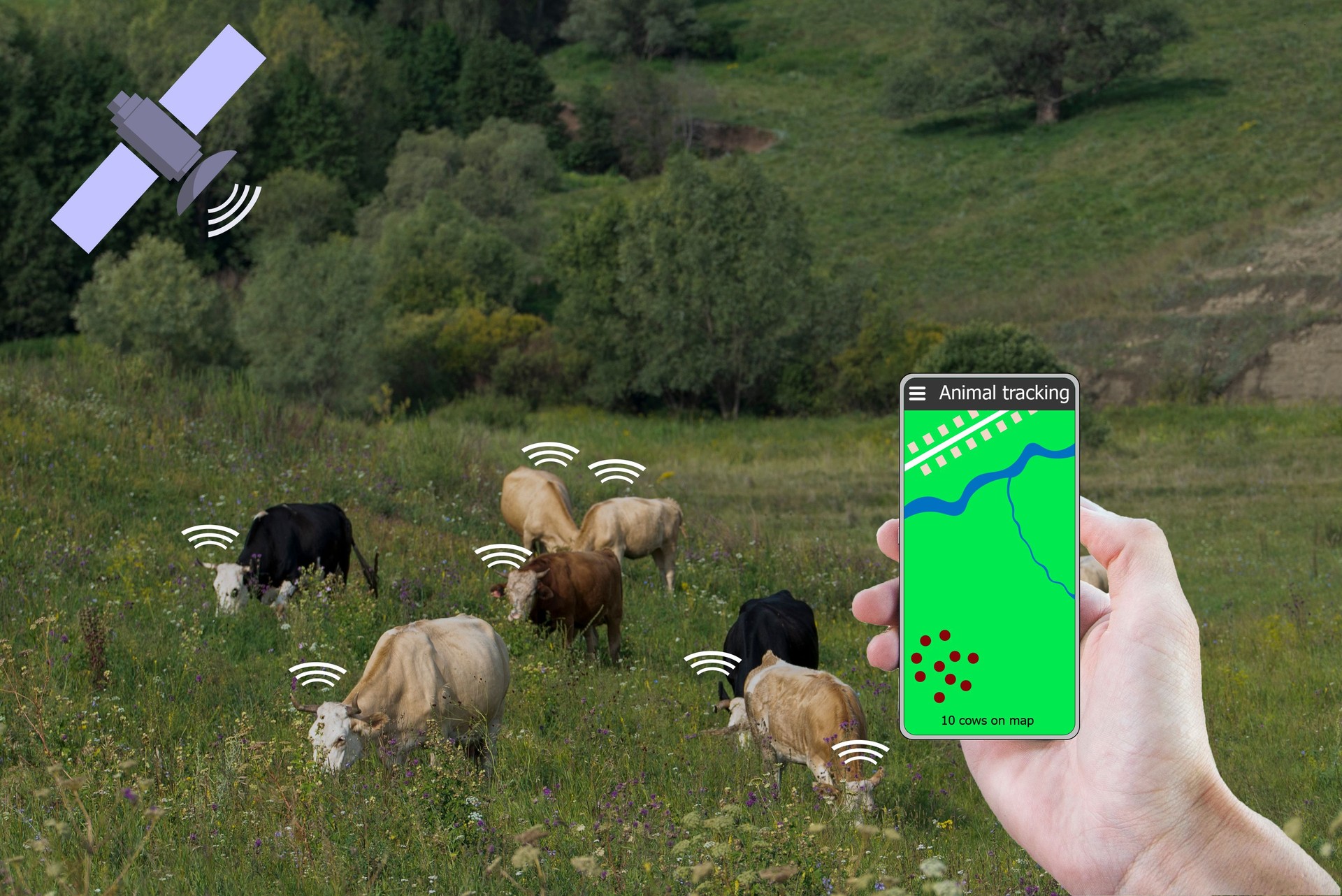 With the help of a smartphone and a sensor on the cow determine the location of the cow. Smart farming.